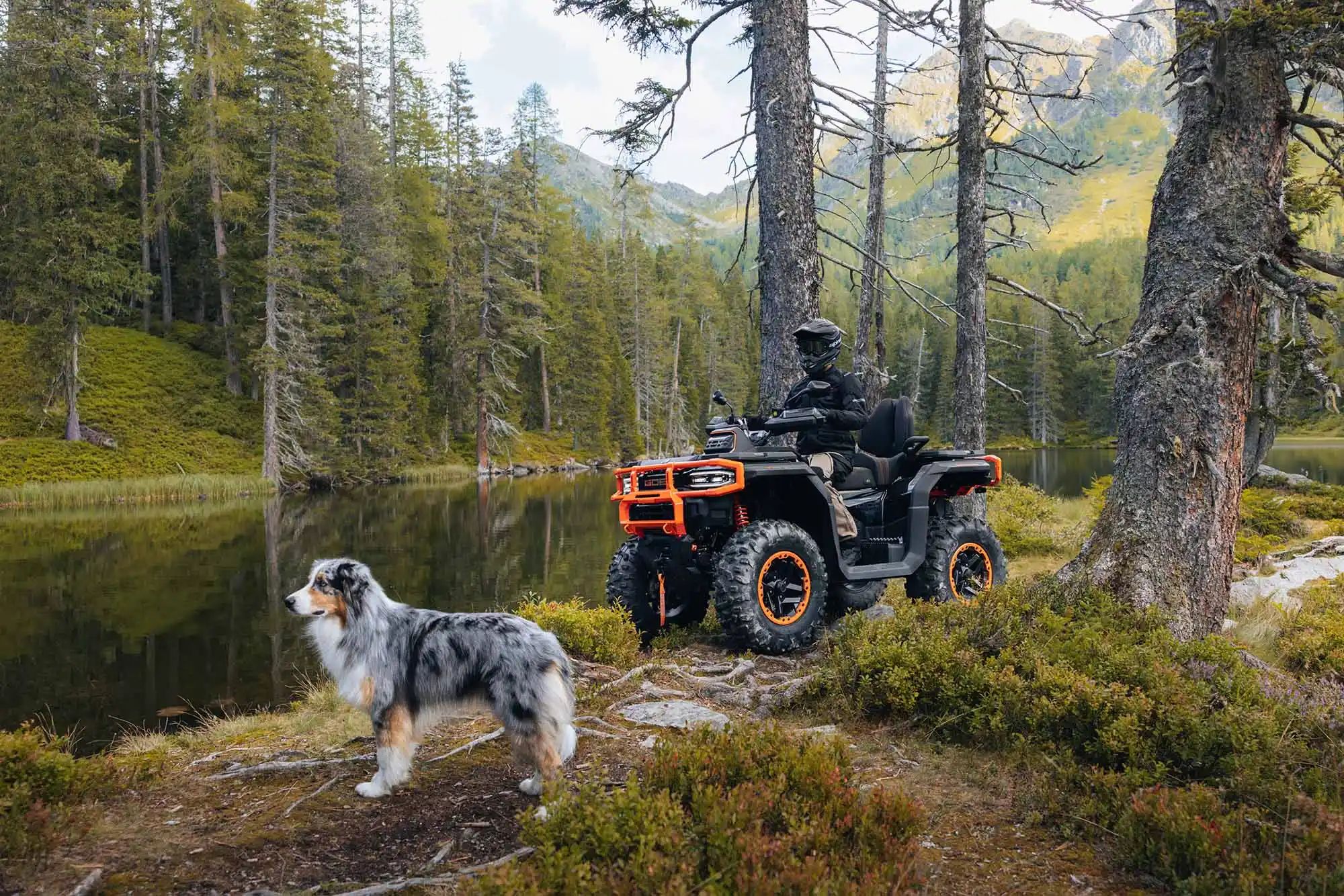 GOES Terrox 1000 R ABS | Quad SP DRIVE